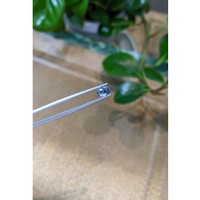 1.48 Ct. Bi Color Sapphire from Ceylon (Sri Lanka) Life Style