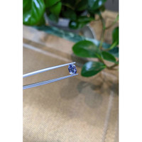 1.15 Ct. Blue Sapphire from Ceylon (Sri Lanka) Life Style