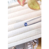 0.80 Ct. Blue Sapphire from Ceylon (Sri Lanka) Life Style