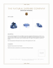 0.45 Ct. Blue Sapphire from Ceylon (Sri Lanka) Appraisal