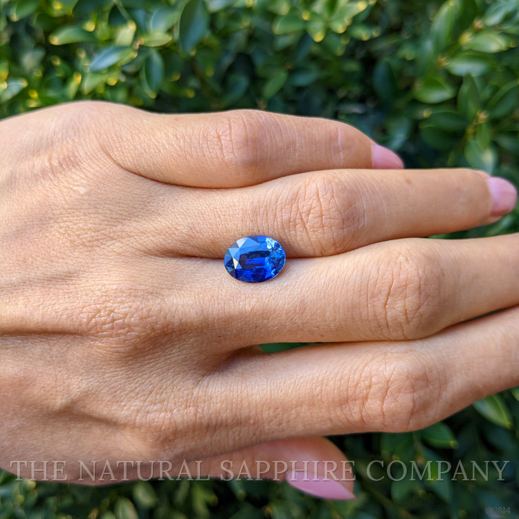 3.51 Ct. Blue Sapphire from Ceylon (Sri Lanka)