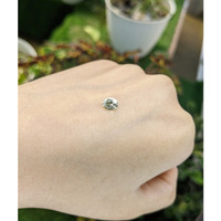 0.78 Ct. Greenish Yellow Sapphire from Ceylon (Sri Lanka) Life Style