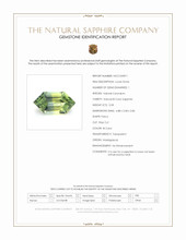 Jewelry Scan Report