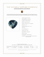 Jewelry Scan Report