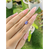 1.60 Ct. Purple Sapphire from Ceylon (Sri Lanka) Life Style