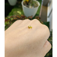 1.12 Ct. Orangish Yellow Sapphire from Ceylon (Sri Lanka) Life Style