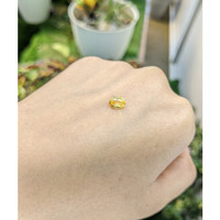 1.11 Ct. Yellow Sapphire from Ceylon (Sri Lanka) Life Style