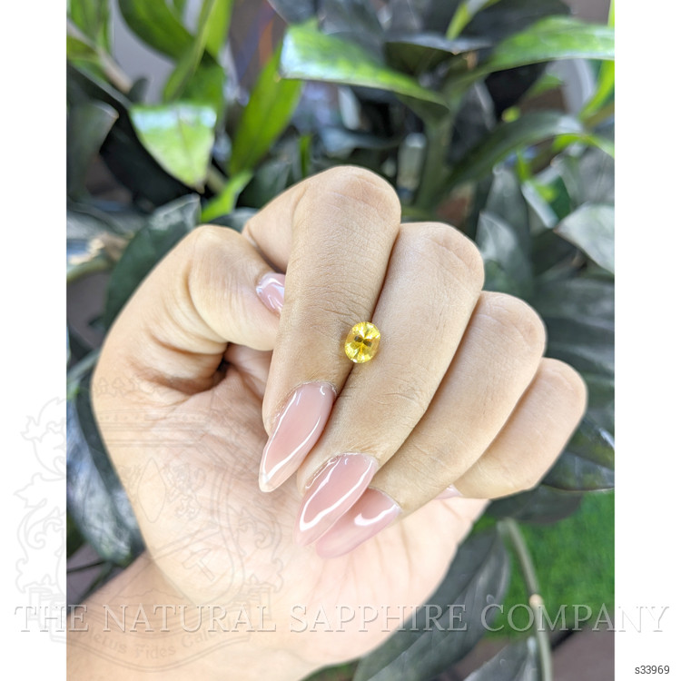 1.03 Ct. Yellow Sapphire from Ceylon (Sri Lanka)