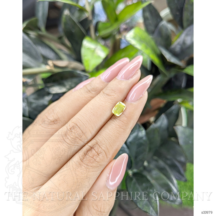 1.19 Ct. Greenish Yellow Sapphire from Ceylon (Sri Lanka)