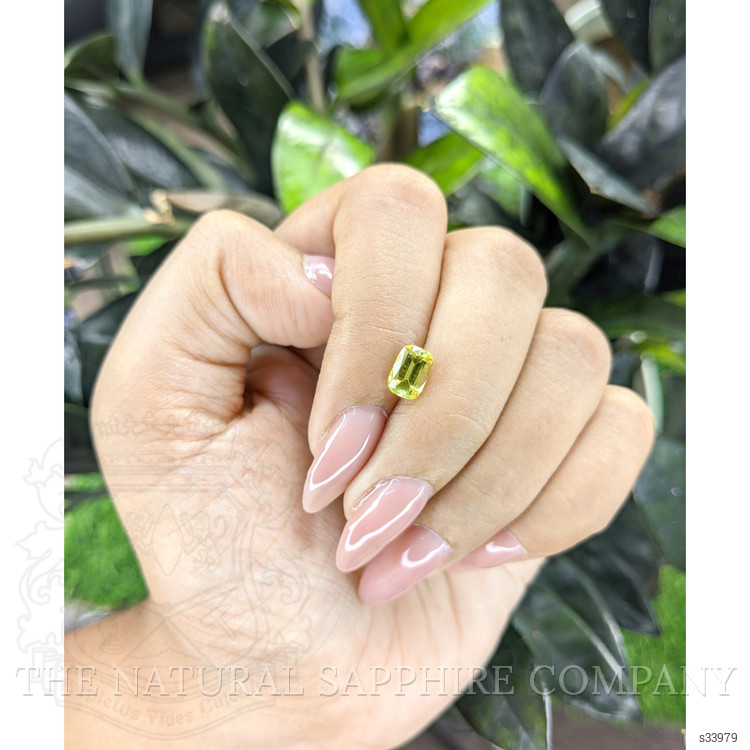 1.19 Ct. Greenish Yellow Sapphire from Ceylon (Sri Lanka)