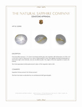 1.19 Ct. Bluish Grey Star Sapphire from Ceylon (Sri Lanka) Appraisal
