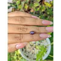 2.92 Ct. Purple Star Sapphire from Ceylon (Sri Lanka) Life Style
