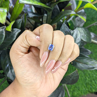 1.58 Ct. Blue Sapphire from Ceylon (Sri Lanka) Life Style