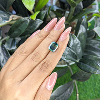 5.52 Ct. Bi Color Sapphire from Madagascar Life Style