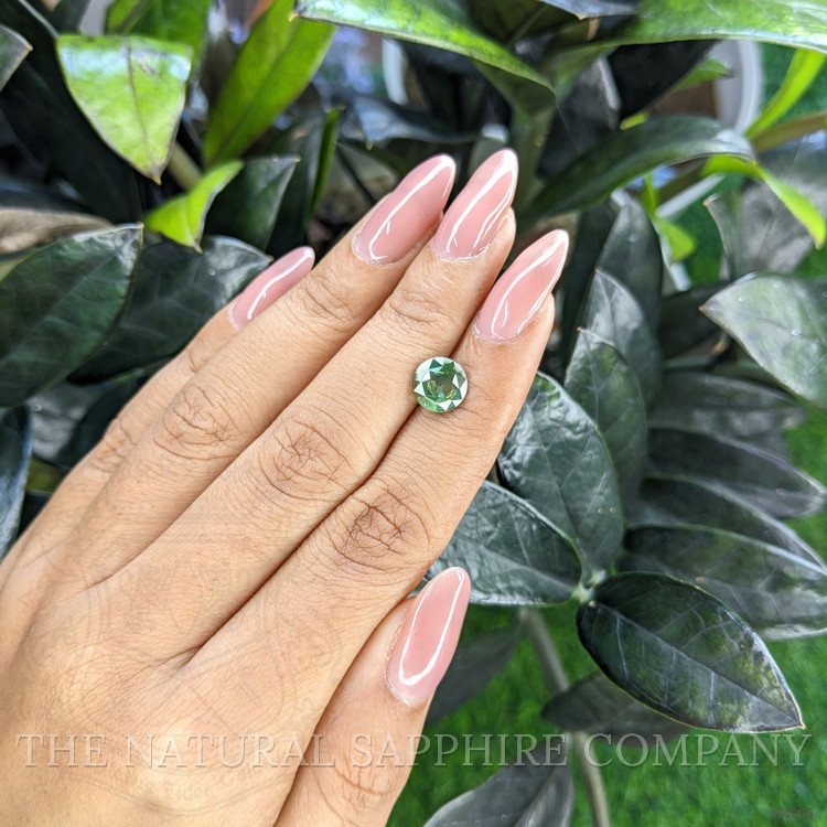 2.13 Ct. Yellowish Green Sapphire from Ceylon (Sri Lanka)