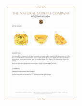 6.06 Ct. Yellow Sapphire from Ceylon (Sri Lanka) Appraisal