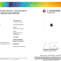 2.54 Ct. Bluish Purple Sapphire from Madagascar Scan Report