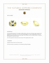 4.08 Ct. Yellow Sapphire from Ceylon (Sri Lanka) Appraisal