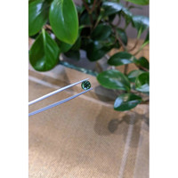 1.65 Ct. Bluish Green Sapphire from Madagascar Life Style