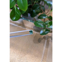 1.60 Ct. Bluish Green Sapphire from Madagascar Life Style