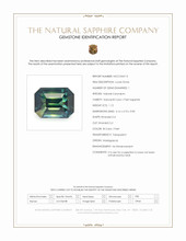 Jewelry Scan Report