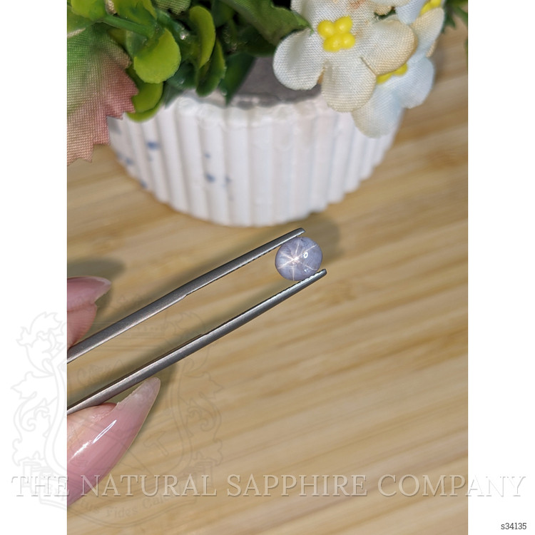 1.42 Ct. Violet Star Sapphire from Ceylon (Sri Lanka)