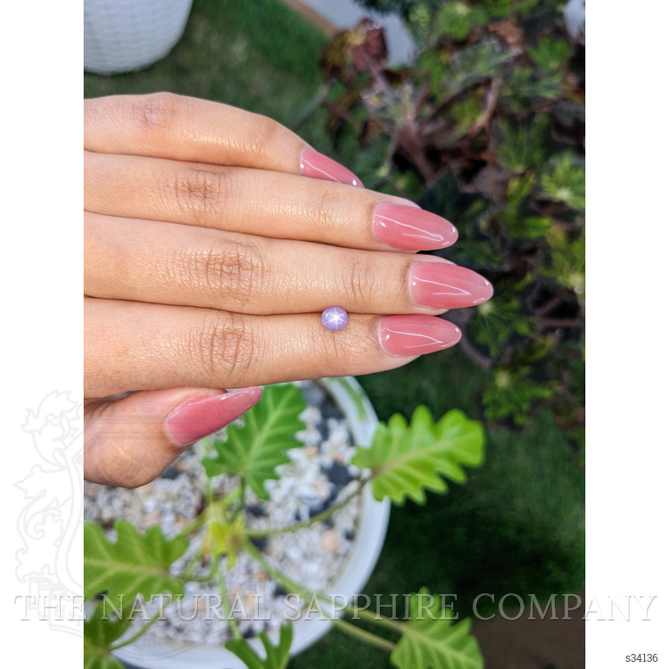 1.19 Ct. Purple Star Sapphire from Ceylon (Sri Lanka)