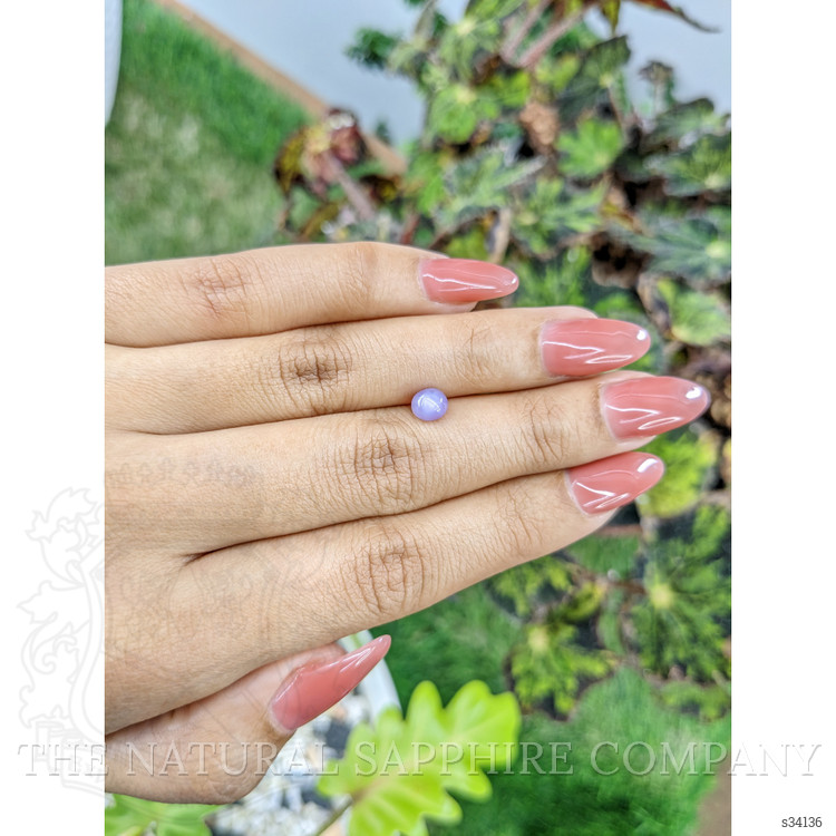 1.19 Ct. Purple Star Sapphire from Ceylon (Sri Lanka)