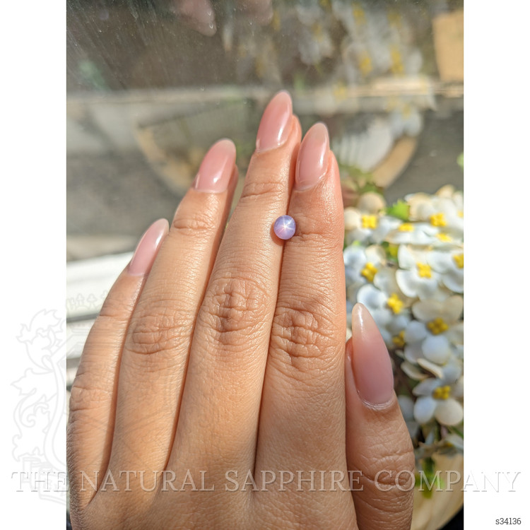 1.19 Ct. Purple Star Sapphire from Ceylon (Sri Lanka)