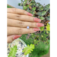 1.47 Ct. Purple Star Sapphire from Ceylon (Sri Lanka) Life Style