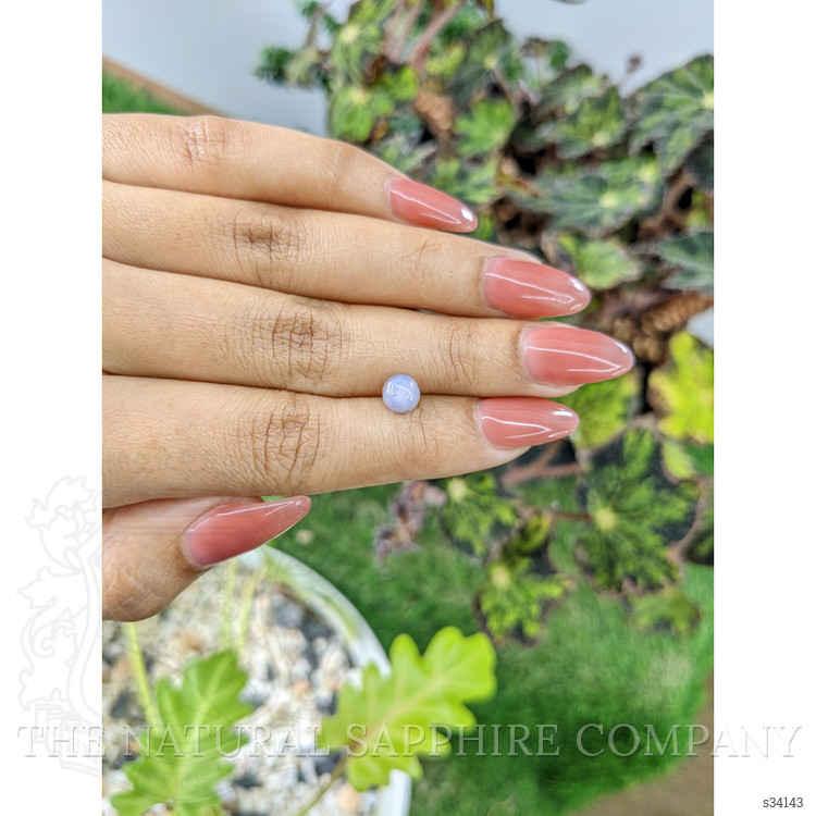 1.47 Ct. Purple Star Sapphire from Ceylon (Sri Lanka)