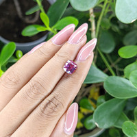 2.53 Ct. Purplish Pink Sapphire from Madagascar Life Style