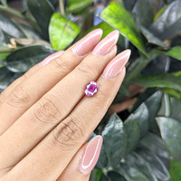 1.54 Ct. Purplish Pink Sapphire from Madagascar Life Style