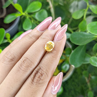 2.73 Ct. Yellow Sapphire from Madagascar Life Style