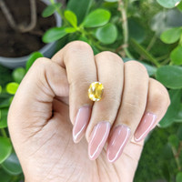 2.73 Ct. Yellow Sapphire from Madagascar Life Style