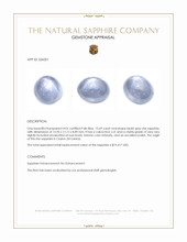 15.69 Ct. Bluish Grey Star Sapphire from Ceylon (Sri Lanka) Appraisal