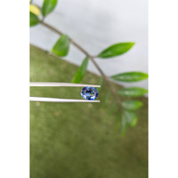 2.20 Ct. Bi Color Sapphire from Ceylon (Sri Lanka) Life Style
