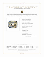 Jewelry Scan Report