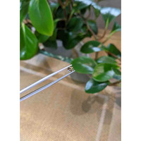 0.53 Ct. Bi Color Sapphire from Montana Life Style