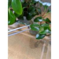 0.45 Ct. Bi Color Sapphire from Montana Life Style