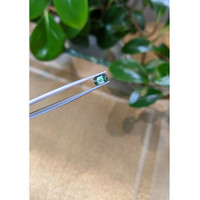 1.05 Ct. Bluish Green Sapphire from Madagascar Life Style