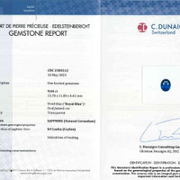 9.04 Ct. Blue Sapphire from Ceylon (Sri Lanka) Scan Report