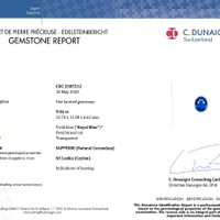 9.04 Ct. Blue Sapphire from Ceylon (Sri Lanka) Scan Report