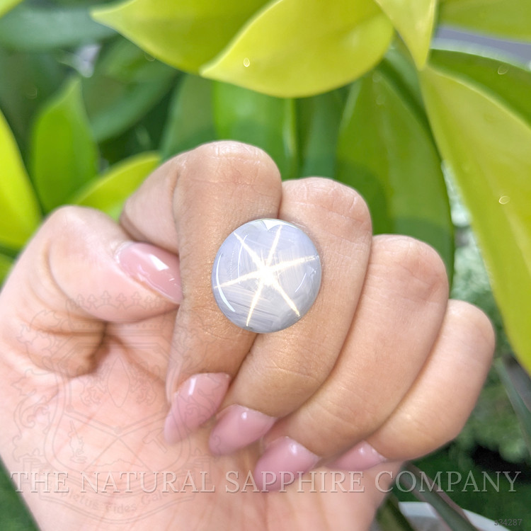 30.71 Ct. Grey Star Sapphire from Ceylon (Sri Lanka)