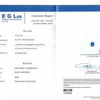 4.05 Ct. Blue Sapphire from Ceylon (Sri Lanka) Pdf