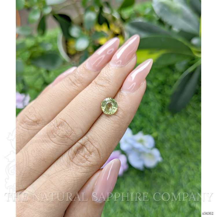 2.02 Ct. Yellowish Green Sapphire from Madagascar