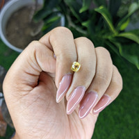 1.12 Ct. Yellow Sapphire from Ceylon (Sri Lanka) Life Style