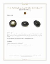 1.08 Ct. Black Star Sapphire from Ceylon (Sri Lanka) Appraisal