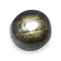 1.08 Ct. Black Star Sapphire from Ceylon (Sri Lanka) Video