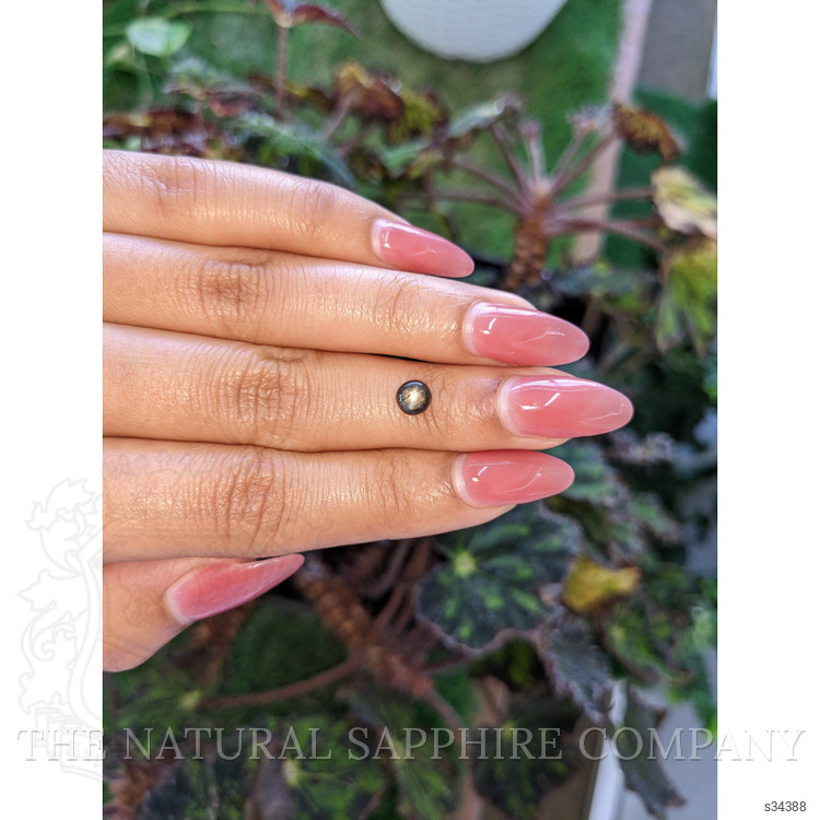 1.08 Ct. Black Star Sapphire from Ceylon (Sri Lanka)